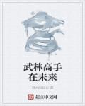 武林高手在未来章节列表