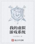 我的虚拟游戏系统章节列表