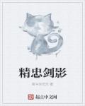精忠剑影章节列表