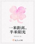 一米距离，半米阳光章节列表