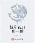 彼岸花开那一瞬章节列表