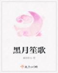 黑月笙歌章节列表