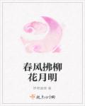 春风拂柳花月明章节列表