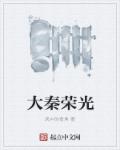 大秦荣光章节列表