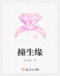 撞生缘章节列表