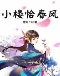 小楼恰春风章节列表