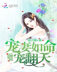 宠妻如命：顾总，宠翻天章节列表