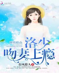 怦然婚动：洛少，吻妻上瘾章节列表