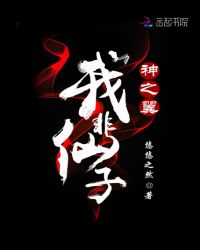 神之翼我非仙子章节列表