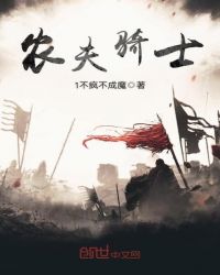 农夫骑士章节列表