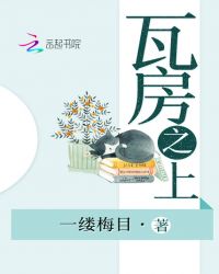 瓦房之上章节列表