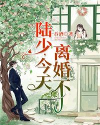 陆少，今天离婚不章节列表