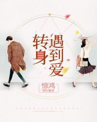 转身遇到爱章节列表