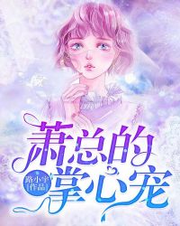 萧总的掌心宠章节列表