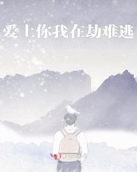 爱上你我在劫难逃章节列表