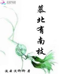 慕北有南枝章节列表