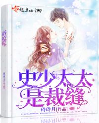 史少太太是裁缝章节列表