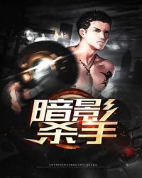 暗影杀手章节列表