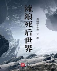 流浪死后世界章节列表