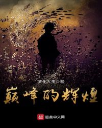 巅峰的辉煌章节列表