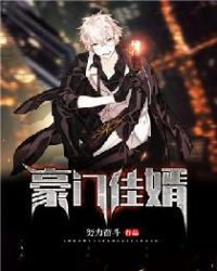 豪门佳婿章节列表