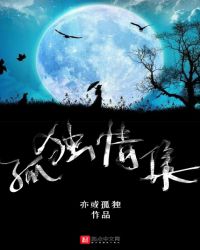 孤独情集章节列表