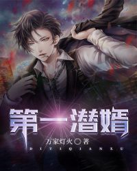 第一潜婿章节列表