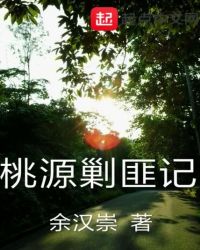 桃源剿匪记章节列表