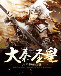 大秦圣皇章节列表