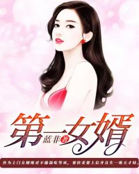 第一女婿章节列表