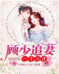 顾少追妻三十六计章节列表