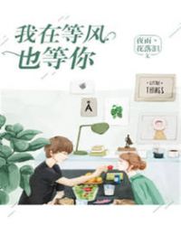 我在等风也等你章节列表