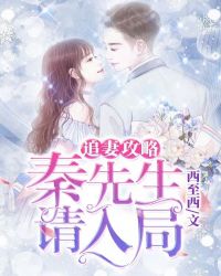 追妻攻略：秦先生，请入局章节列表