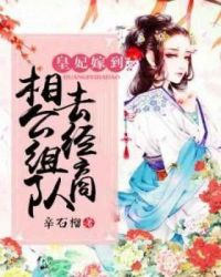 皇妃嫁到：相公组队去经商章节列表