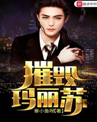 摧毁玛丽苏章节列表