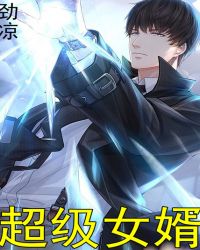 超级女婿章节列表