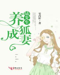 陆先生，养狐成妻章节列表