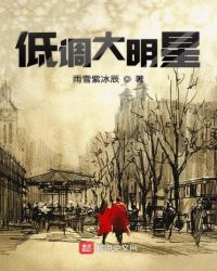 低调大明星章节列表