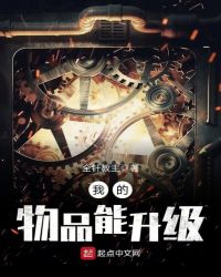 我的物品能升级章节列表