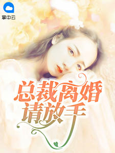 总裁离婚请放手章节列表