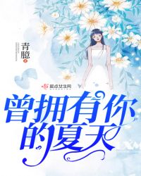 曾拥有你的夏天章节列表
