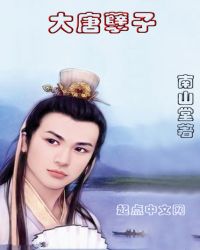 大唐孽子章节列表