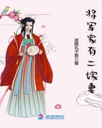 将军家有二嫁妻章节列表