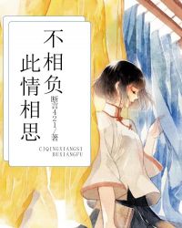 此情相思不相负章节列表