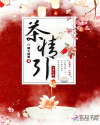 茶情引章节列表