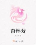 杏林芳章节列表