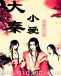 大秦小爱章节列表