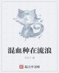 混血种在流浪章节列表