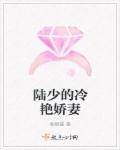 陆少的冷艳娇妻章节列表