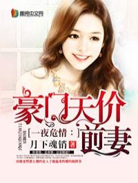 一夜危情：一夜危情：豪门天价前妻章节列表